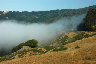 sanfrancisco-fog