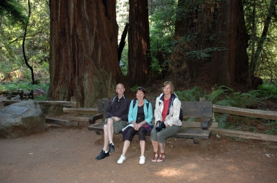 sanfrancisco-muirwoods2