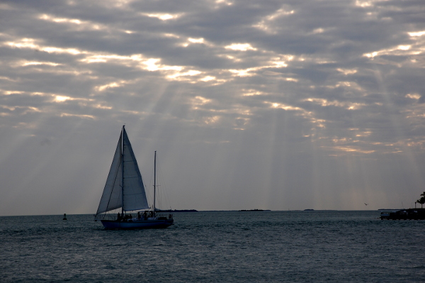 02 29 090 DSC 9152