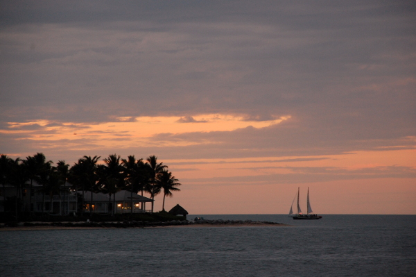 02 29 100 DSC 9168